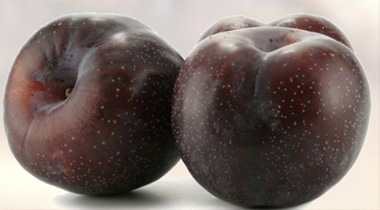 Black plums 