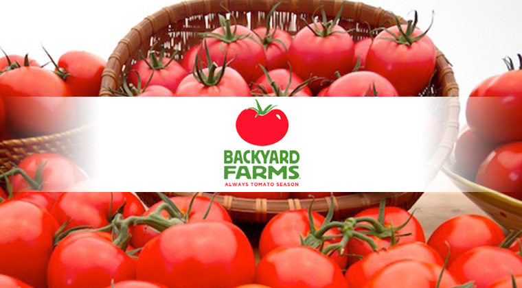 backyard farms tomatoes logo graphic