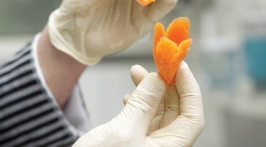 white gloved hands holding carved carrot