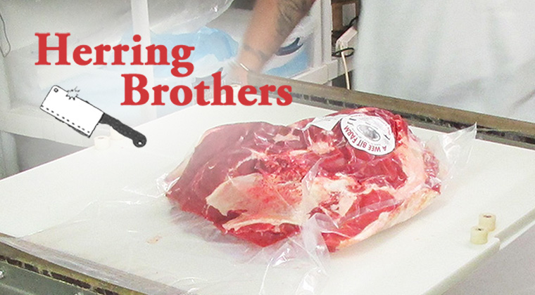herring brothers logo graphic