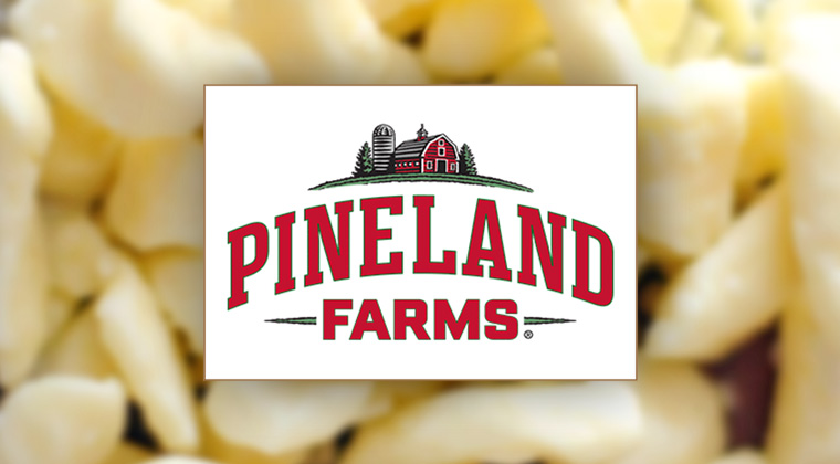 pineland farms logo graphic