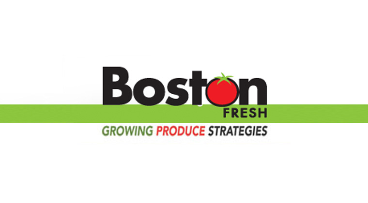 boston fresh logo graphic