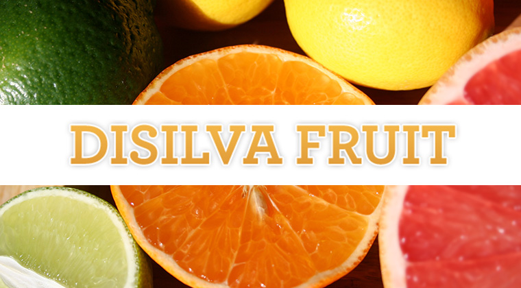 disilva fruit logo graphic
