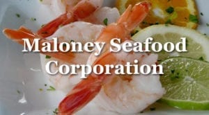 maloney seafood logo graphic