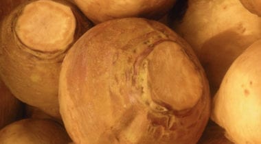 waxed turnips, rutabagas
