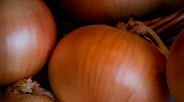 colossal onions