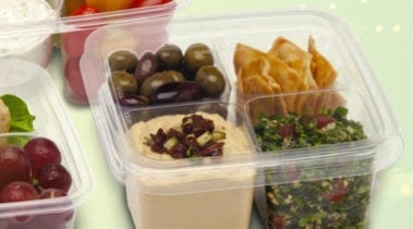 Fabrikal Plastic 4compartment Container 
