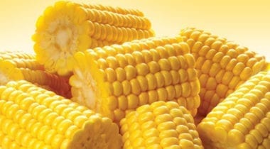 3 inch corn on the cob