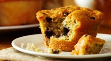 udi's gluten-free blueberry muffin