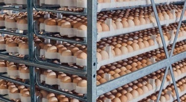 eggs on bakers rack