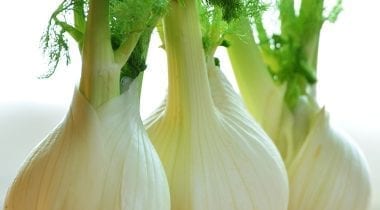 fennel bulbs