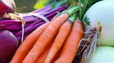 carrots and chard, bundles with leaves