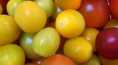 grape tomatoes, multi color