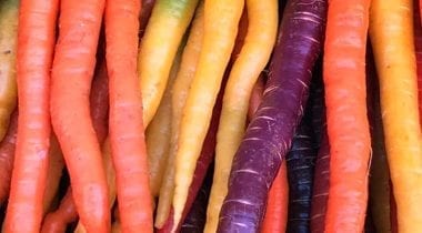 rainbow carrots