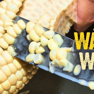 corn cob, waste-not want-not graphic