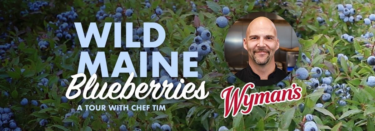 Wild Maine Blueberries video tour graphic