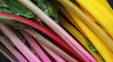 rainbow chard stalks