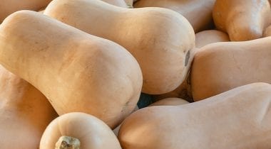 butternut squash