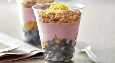 general mills yoplait blueberry yogurt