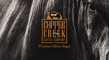 copper creek logo banner