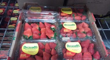 Driscolls Strawberries