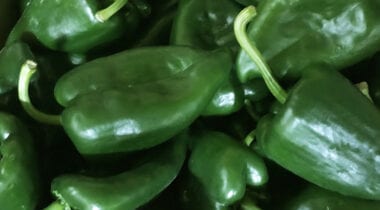 Poblano Peppers