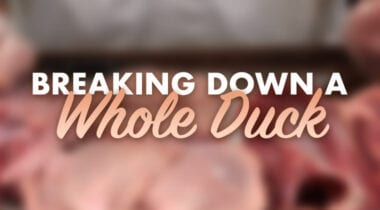 breaking down a whole duck graphic