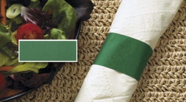 forest green napkin band