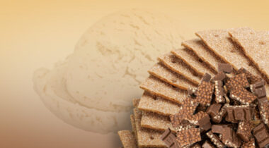 graham cracker ice cream with chocolate crunch pieces