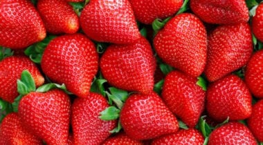 fresh strawberries