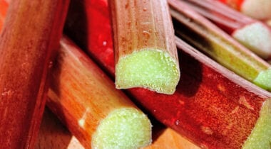 cut rhubarb