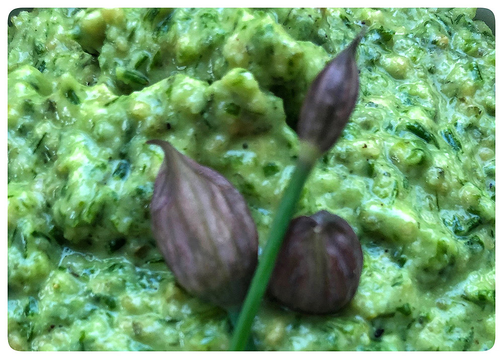 chimichurri sauce close up, garlic flower bulb