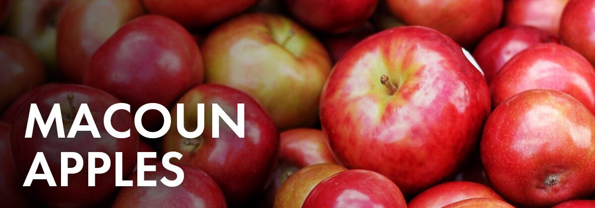 Macoun apple deals