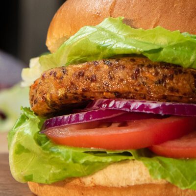 meatless burger with lettuce, tomato, onion