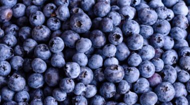 many, many fresh blueberries