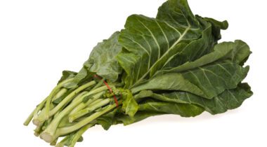 bunch of collard greens over white background graphic image