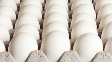 white eggs in bulk pack