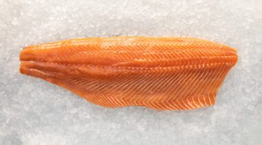a raw Atlantic salmon filet on ice