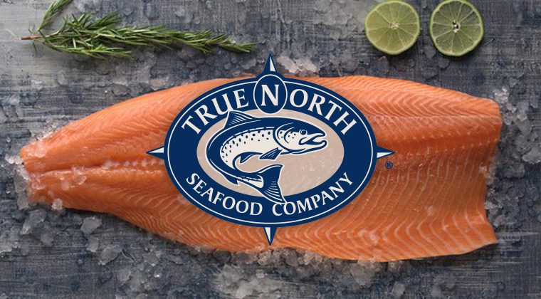 true north seafood logo over a salmon filet