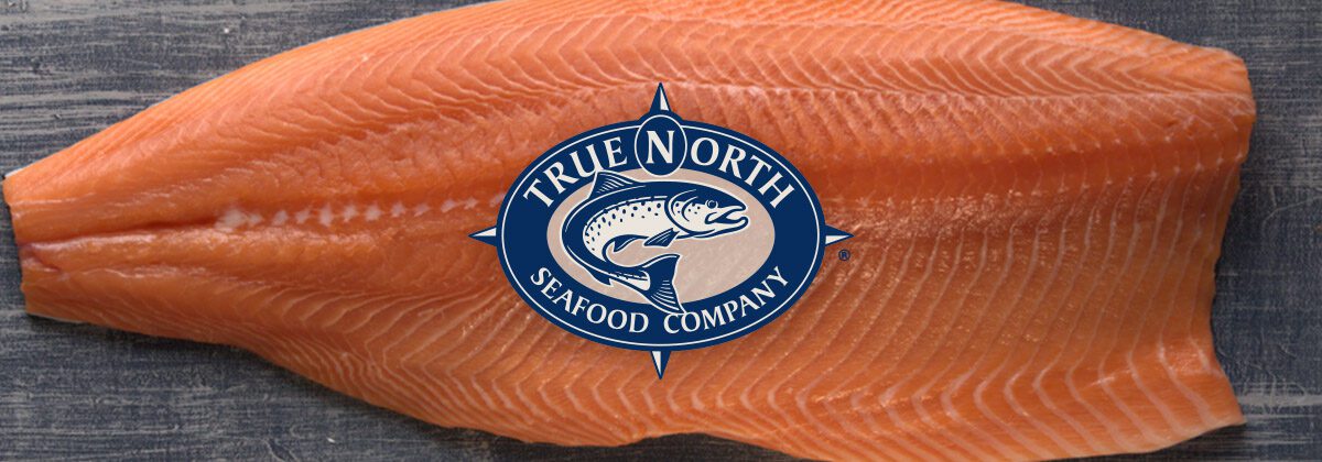 true north seafood logo over a salmon filet