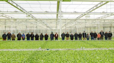 a row of workers standing in a greenhouse with hair nets on