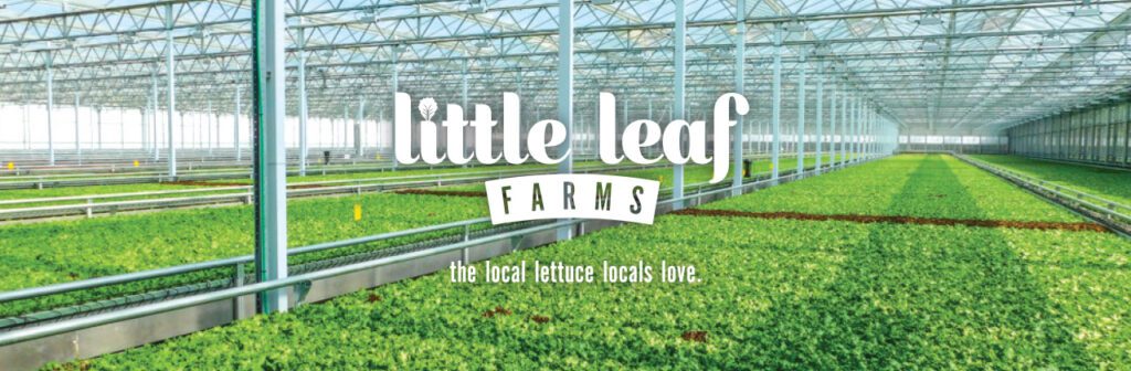 little leaf farms logo graphic