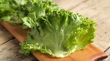 large lettuce leaf