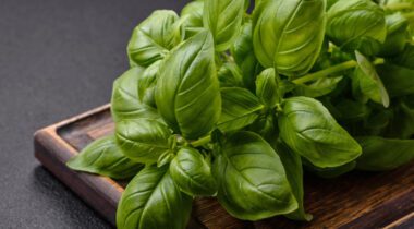 Bunch of Basil leaves on wood cutting board