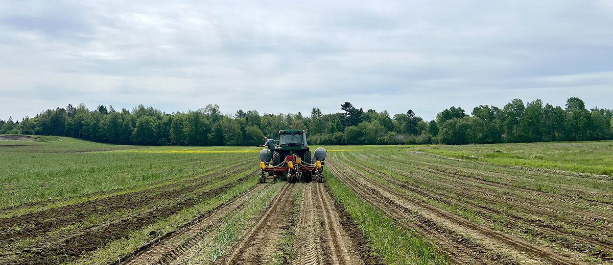 a tractor in a field driving away from the camera