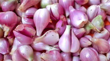 multiple purple and white shallots peeled.