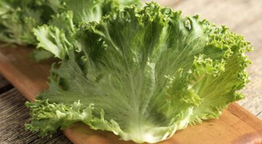 fancy wide lettuce leaf on cutting board
