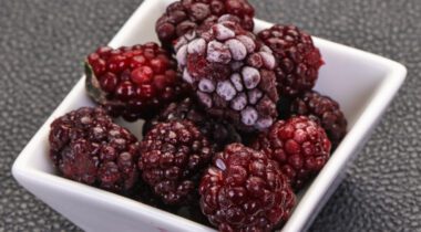 white square bowl with half frozen blackberries