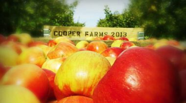 Cooper Farms