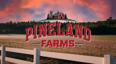 pineland farms logo over farm sunset field scene